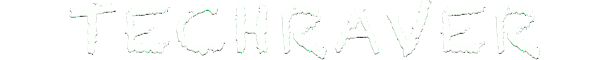 TechRaver logo